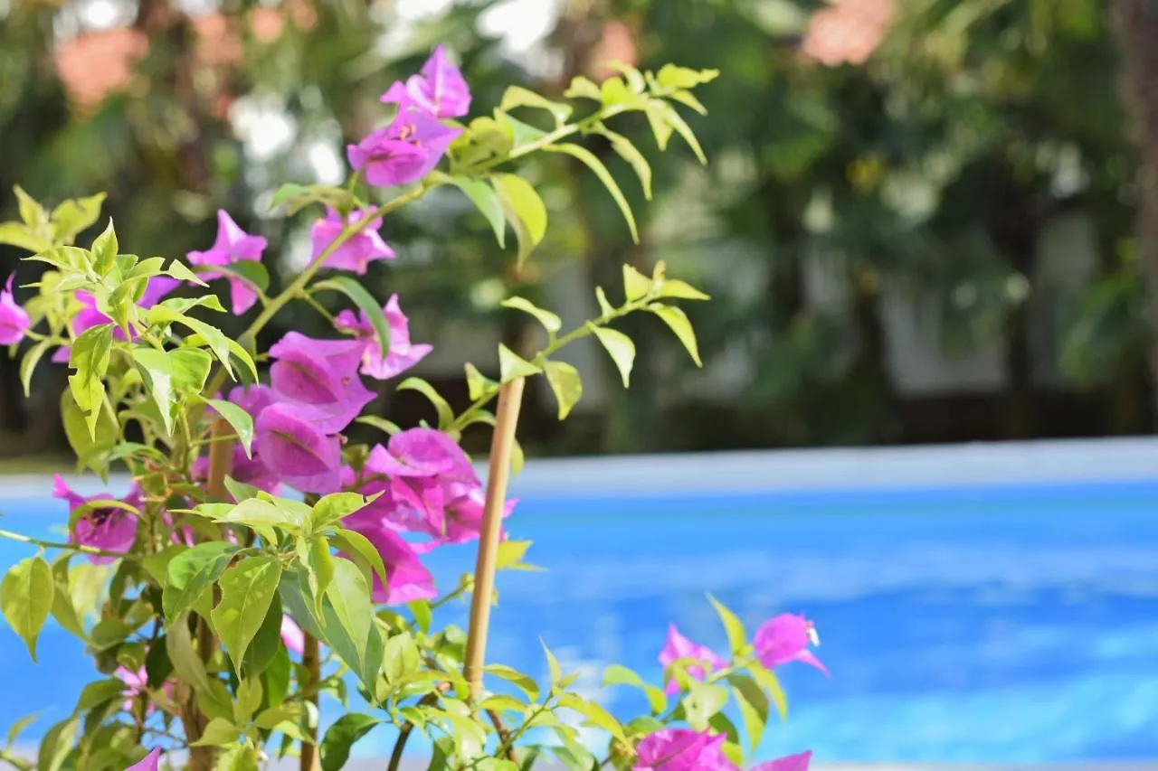 Apartments Vila Marinela Poreč